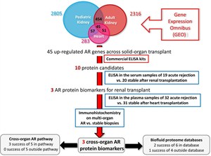Integrated Bioinformatics In Organ Transplantation