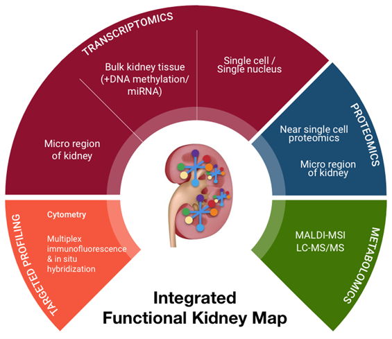 Kpmp Omic Workflow 2