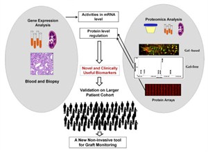 Need For Personalized Medicine -2