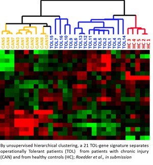 Hierarhical Clustering TOL 